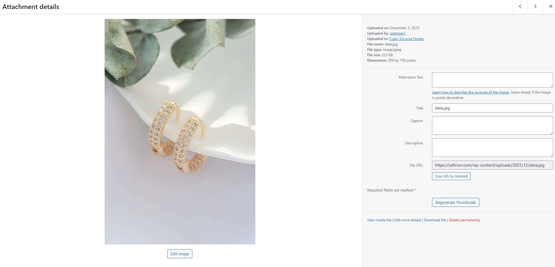 Cubic Zirconia Hoops